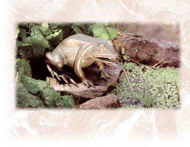 Mod. Frosch Wasserspiel